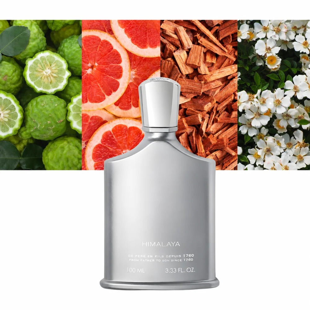 Parfum Aventus pour Homme 100m - Perfume High Fragrance avis et prix